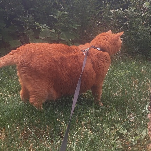 Meet your Posher, Ailyth - Picture 1 of 1